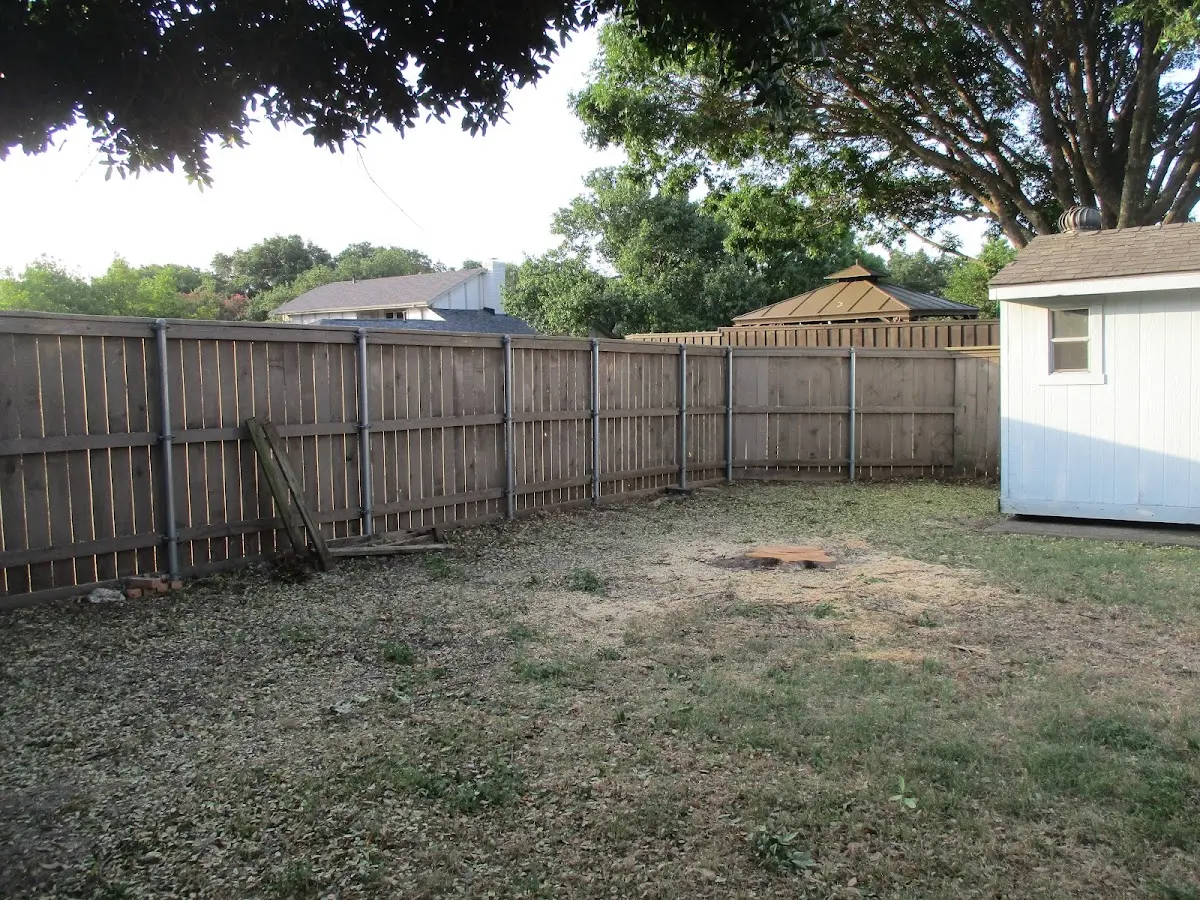 Cleared yard after professional tree removal in Rock Hill